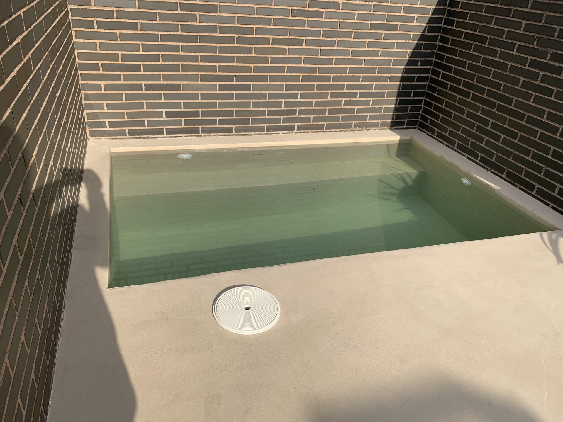 Proyecto exterior: piscina de microcemento (5)